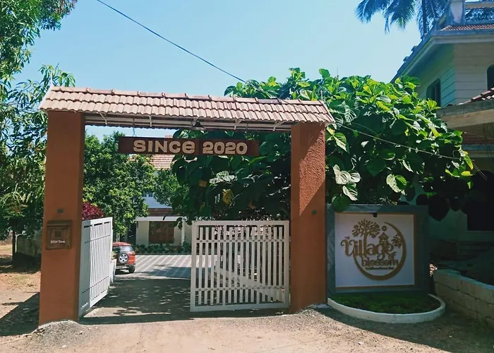 Village Of Blossom