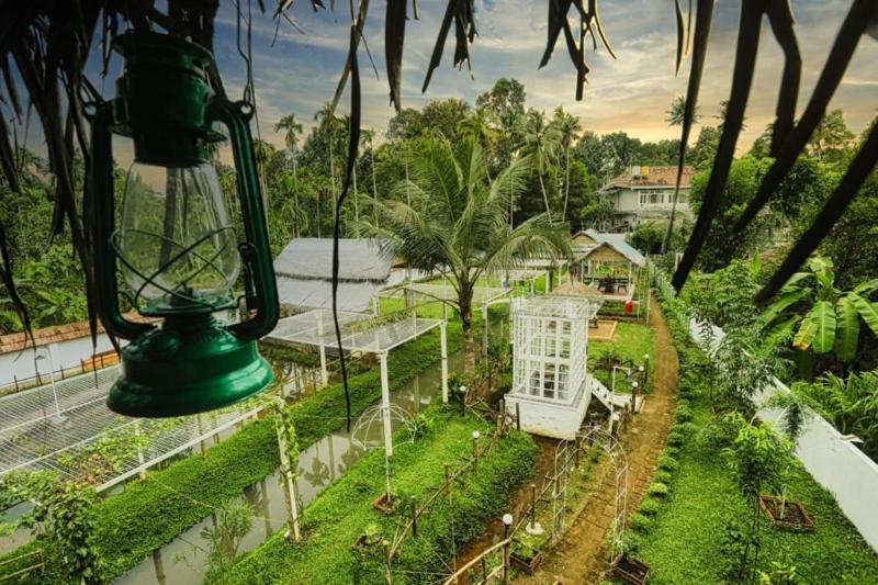 Homestay Village Of Blossom